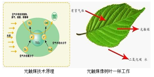 懷化市澤源俊鵬環(huán)?？萍加邢挢?zé)任公司,懷化室內(nèi)空氣污染檢測(cè),懷化空氣污染治理,室內(nèi)環(huán)境凈化,空氣治理公司,俊鵬環(huán)保